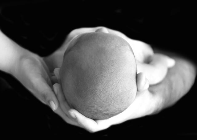 Newborn photograph 2